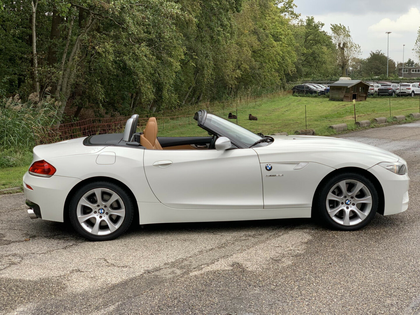 BMW-Z4-7